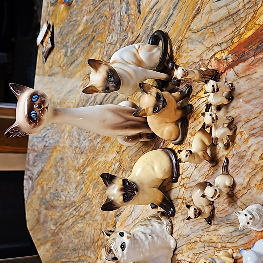 Siamese Cat Collection - Picture 4 of 5